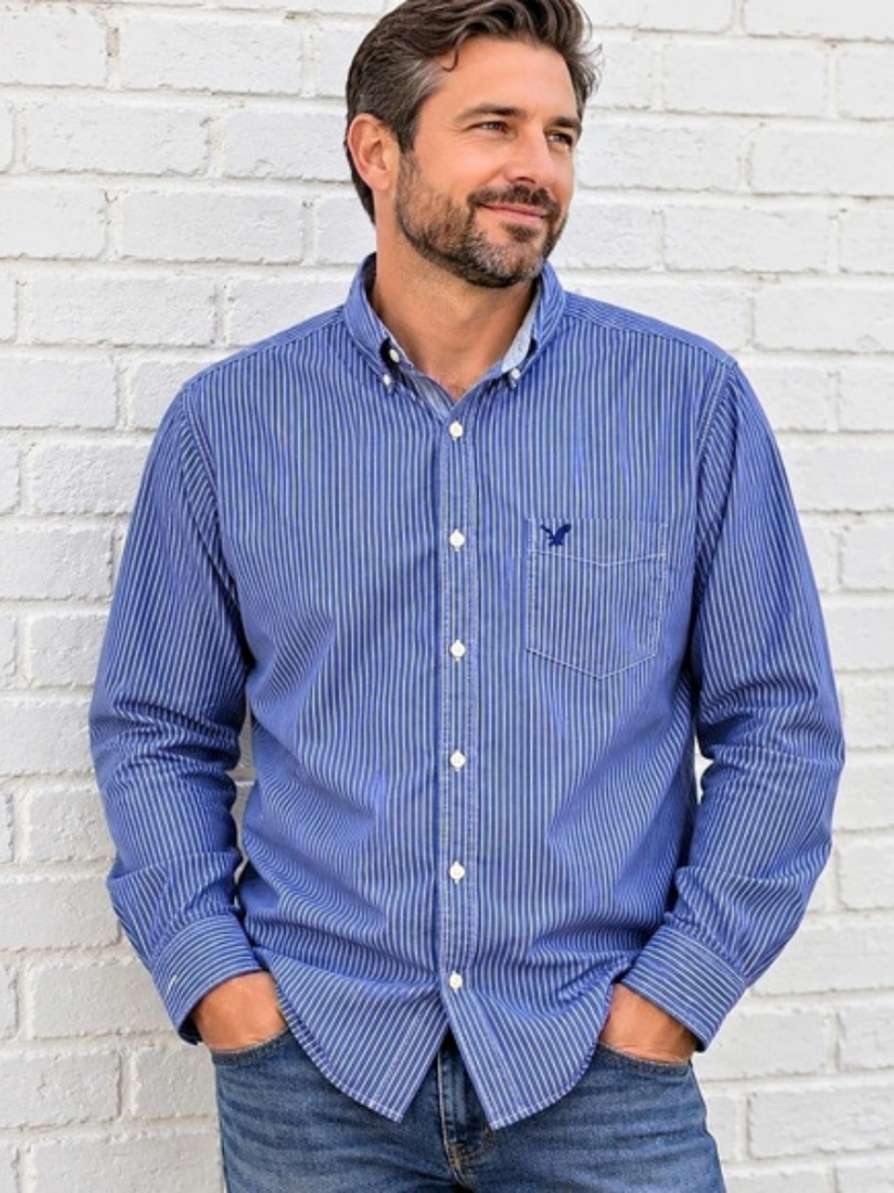 American Eagle Men’s Blue Pinstripe Button Down Shirt Classic Fit Large